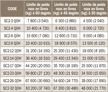 &Eacute;lingues &agrave; 4&nbsp;brins