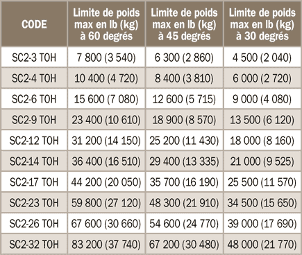 &Eacute;lingues &agrave; 3&nbsp;brins