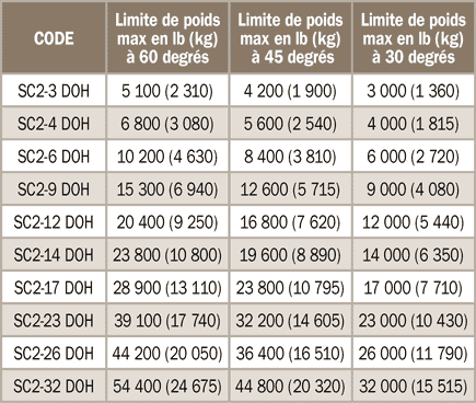 &Eacute;lingues &agrave; 2&nbsp;brins